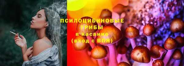стаф Карталы