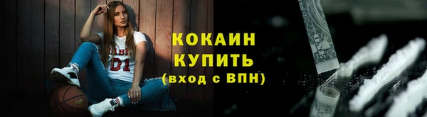 мдпв Инта