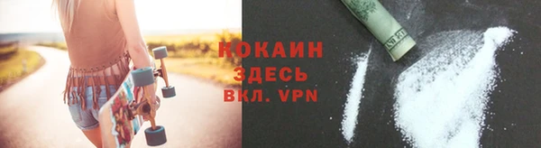 мдпв Инта