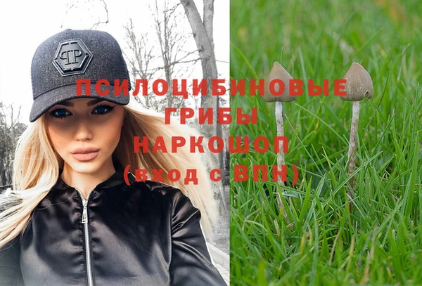 СК Иннополис