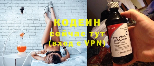 мдпв Инта
