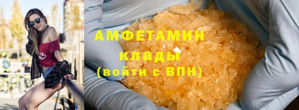 мдпв Инта